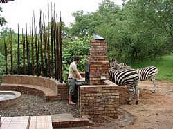 Zebra at braai at Malelane Self catering lodge accommodation at Khaya Umdani Self catering lodge in Mpumalanga